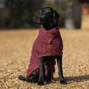 Serviettes pour chien en microfibre super absorbantes, séchage rapide, peignoirs de bain pour chiots, peignoirs pour chien super absorbants - Product Image 4