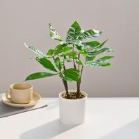 Plante artificielle en pot en forme de boule, en plastique, feuilles vertes, fleurs, légère, écologique, décoration de bureau pour l'intérieur