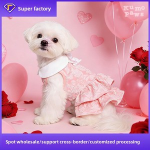 Vestido de Princesa con Flores Tridimensionales Desmontables de Encaje, Diseño Japonés <span class=keywords><strong>Coreano</strong></span> para Perros Teddy y Bichón, Colección Primavera/Verano Echo Pet - Product Image 2