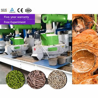 Ligne de granulation de biomasse CLASSY pour copeaux de bois, sciure, déchets de palmier, machine à granulés EFB, usine industrielle, fournisseur