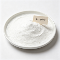Poudre d'acides aminés non aromatisée pour les boissons sportives, les smoothies, les compléments post-entraînement, supplément de fitness OEM, poudre de L-Lysine
