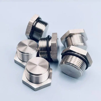 Bouchon de tuyau hexagonal en acier inoxydable, raccord fileté industriel pour l'industrie chimique et marine