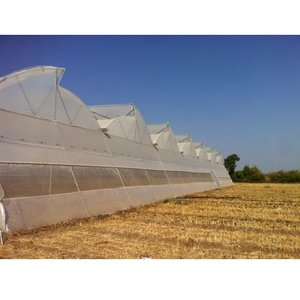 Structure de serre à refroidissement actif, durable et haute résistance, avec système de refroidissement avancé par ventilateur et plancher refroidissant, résistante aux UV - Product Image 1