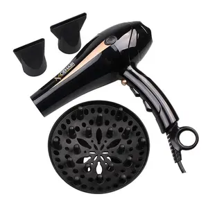 Pengering Rambut Motor AC Keramik, Pelindung Kerusakan Rambut Salon Pro dengan Konsentrator Diffuser Tampilan Temperatur