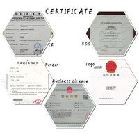 Roulement à galet hexagonal à roulement complet HXHV de haute qualité CR20VBUU CR22VBUU CR24VBUU CR26VBUU CR32VBUU CR36VBUU