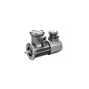 Motor Trifásico de Frecuencia Variable 225, 2/4/6/8 Polos, 18.5-45kW, Alto Torque de Sobrecarga, Potencia Especial para Minería YBBP-225 Extra High-po - Product Image 2