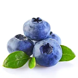 Großhandel Premium frische Blaubeeren