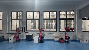 Emballageur robotisé avec PLC et moteur, indice de protection IP65, pour l'emballage en carton de bouteilles/sacs/canettes - Product Image 6