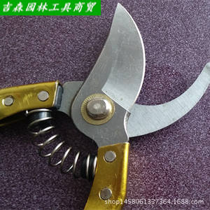 Cisailles de taille Ichiro Yoshikawa, lame de 70 mm, acier inoxydable, acier à haute teneur en carbone, structure papillon, pour arbres fruitiers et branches - Product Image 3