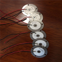 Kualitas Tinggi PZT Piezoelectric Ceramic Disc 17.5Mm 125KHZ Ultrasonik Sensor
