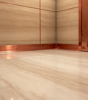 Ascensore Passeggeri Fareo Moderno in Acciaio Inox Senza Ingranaggi AC - Durevole, Sicuro, Facile Installazione, Pavimento in PVC, Uso per Appartamenti