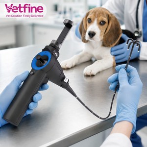 Endoscopio Veterinario Portátil Ligero con Angulación de 360 Grados, Videoendoscopio Flexible <span class=keywords><strong>para</strong></span> Clínica <span class=keywords><strong>Veterinaria</strong></span> de Perros, <span class=keywords><strong>Gatos</strong></span> y Otros Animales - Product Image 1