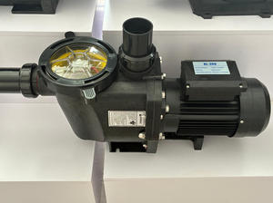 Pentair ปั๊มสระว่ายน้ำแรงดันสูง3HP 110V220V380V ปั๊มสระน้ำแห้ง - Product Image 2