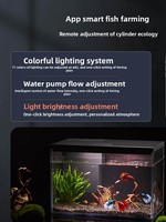 Aquarium intelligent Boyu Green, verre ultra-blanc, filtre arrière tout-en-un, aquarium rectangulaire de bureau, éclairage paysager aquatique