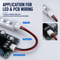 Câble de raccordement compact personnalisé avec connecteur femelle 2 broches, fils rouges et noirs, pour éclairage LED et circuits imprimés
