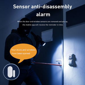 Tuya Door Window Sensor ZigBee Smart App Remote Anti Theft Monitoring - Product Image 4