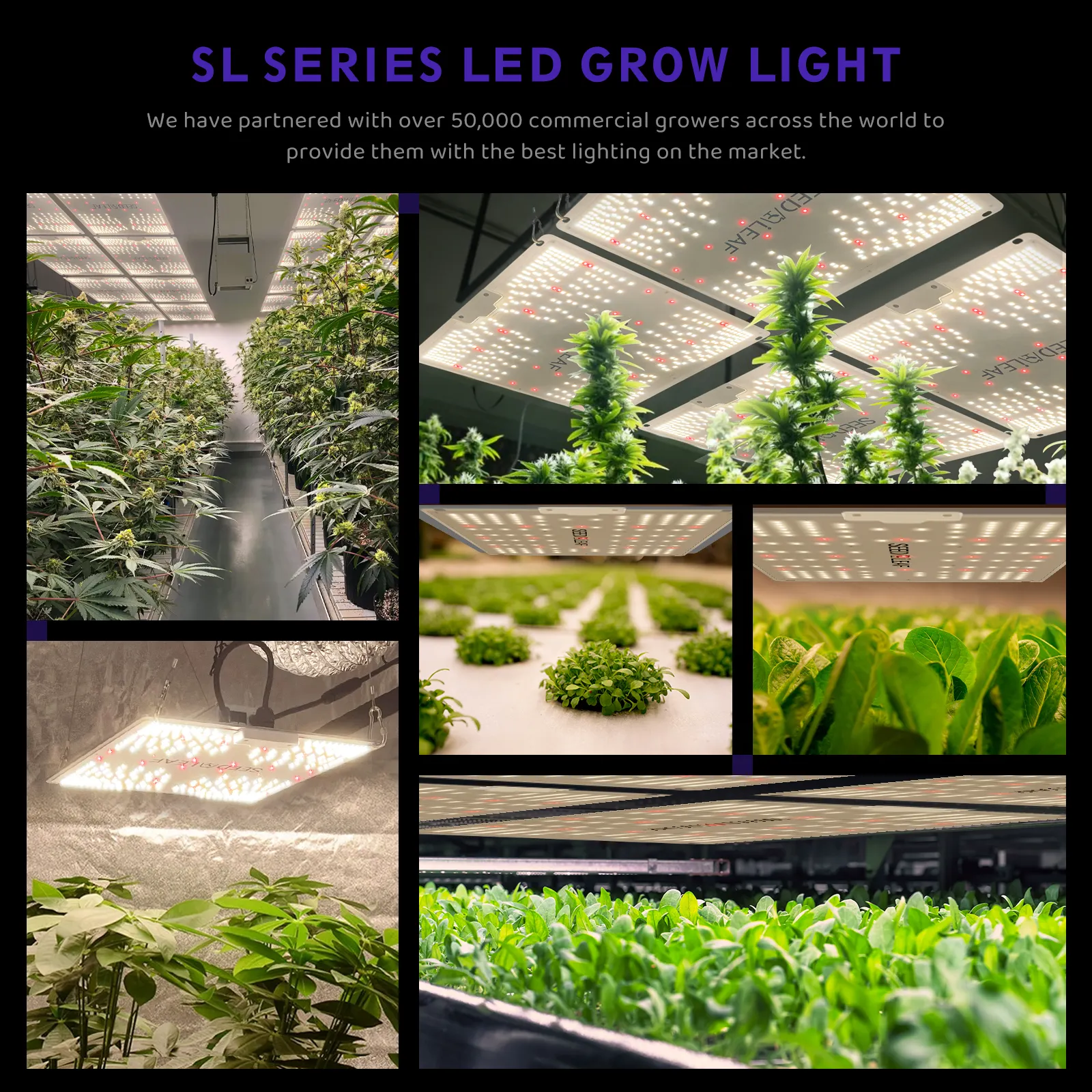 Seednleaf Led Grow Light New Tech Aluminum Full Spectrum Indoor Hydroponic Plants Greenhouse Bloom Led Grow Lights