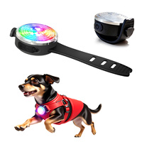 Collar Luminoso LED Recargable e Impermeable para Perros, Serie Gem, de Fabricante con Certificación BSCI, para Seguridad Nocturna de Perros Pequeños y Medianos