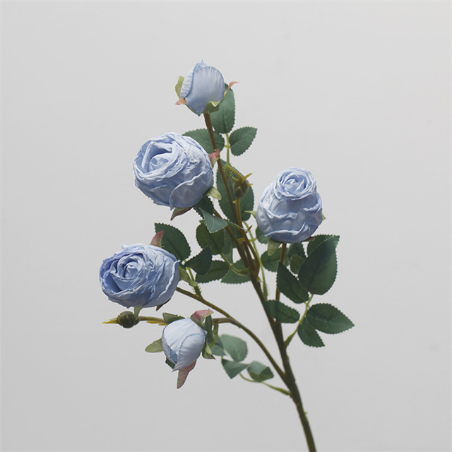 Bleu LT
