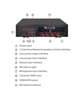 Berase Unité de MX-450 haut de gamme FM intégrée pour chanter Amplificateur de karaoké 3-en-1 Puissance du microphone domestique