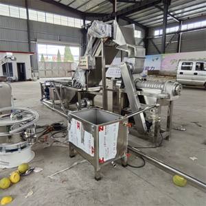 Presse-agrumes de haute qualité pour usage domestique et commercial, extracteur de <span class=keywords><strong>jus</strong></span> de gingembre pour boissons <span class=keywords><strong>maison</strong></span> - Product Image 6