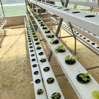 Système de culture hydroponique vertical NFT en A-frame écologique, système NFT en PVC pour l'agriculture commerciale