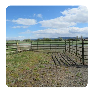 Lage Prijs Stalen Vee Hek Landbouwgrond Hek Barrière Met Horizontale En Verticale Pijp Paardenhek Metaal - Product Image 3