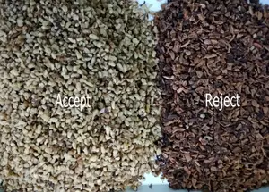 Anhui Hefei Full Automatic CCD Camera Color Sorter Color Selected Machine For Rice Grains Coffee Beans Walnut Nuts Sesame Seeds