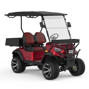Carrito de Golf Clásico Vintage HKBG de 2 Plazas con Caja de Batería de Litio/Plomo-Ácido de 48V, Velocidad de 30-50 km/h y Autonomía de 50-70 km, Nuevo Diseño 2024 - Product Image 4