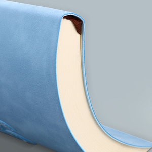 Bán buôn 2026 biểu tượng tùy chỉnh A5 hàng ngày hàng tuần hàng tháng Tạp Chí tùy chỉnh hàng ngày kế hoạch - Product Image 5