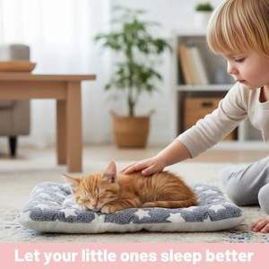 Manufacturer Wholesale Multi-design Soft Plush Dog <b>Blanket</b> - Product Image 4