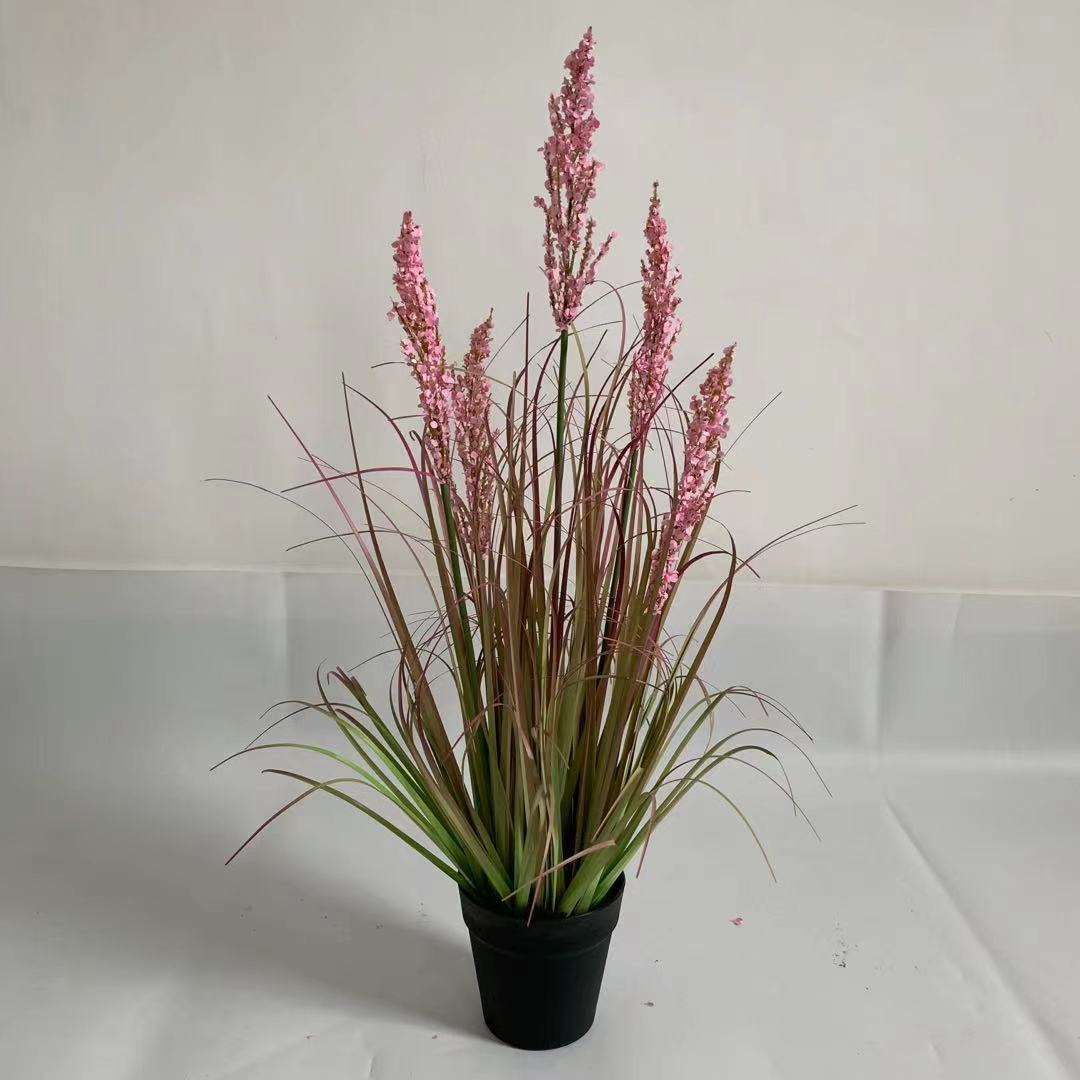 75 cm lavanda rosa 5 teste