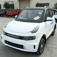 Mini véhicule électrique 3000W, véhicule électrique à quatre roues, voitures électriques