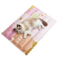 Tapis rafraîchissant moderne en PVC avec gel, écologique, pour animaux de compagnie (chats et chiens), idéal pour l'été, coussin de luxe tendance avec motif de dessin animé pour chat