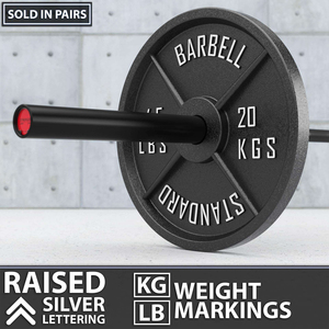 VIGFIT Disques de musculation en fonte pour salle de sport, plaques de poids peintes, disques de bumper, pesas de gimnasio, disques personnalisés – Vente en gros - Product Image 5