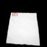 Géotextile non tissé HDPE PP industriel noir et blanc, anti-âge, écologique, résistant à la déchirure, pour la protection des pentes, personnalisable