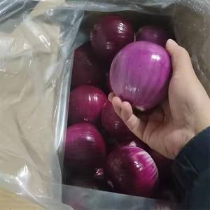 सर्वश्रेष्ठ ग्रेड जमे हुए iqf लाल स्केलियन प्याज थोक जैविक स्वास्थ्य प्राकृतिक पोषण थोक मूल्य - Product Image 4