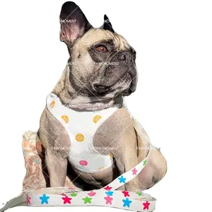 ドロップシッピング高級デザイナーペット犬ハーネスとリーシュセットチワ人形フレンチブロン子犬レザーカラー卸売Q-001