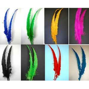 Vente en gros de plumes d'<span class=keywords><strong>autruche</strong></span> Nandu pour carnaval et costume très beauté plume d'<span class=keywords><strong>autruche</strong></span> Nandus 13-24" - Product Image 3