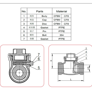Clapet anti-retour à ressort en acier inoxydable, filetage femelle, classe 150, DN15-DN50, avec trou de montage pour applications en hauteur - Product Image 1