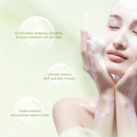 Nettoyant Purifiant et Raffermissant à l'Huile d'Arbre à Thé avec Logo Personnalisé, Nettoyage en Profondeur des Pores, Équilibrant l'Huile, Lavage Doux du Visage, OEM 100g