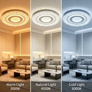 Plafonnier Chic avec Détail de Bordure Texturée, Polyvalent pour Salon et Couloir, Installation Facile, Qualité Supérieure Garantie, Luminaire Moderne - Product Image 3