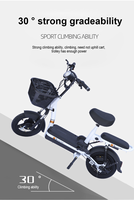 Trottinette électrique pliable à deux roues 7.5Ah/45Ah/40Ah Lithium Longue portée GPS Étanche Freinage électronique Urbain 150kg 25kmh