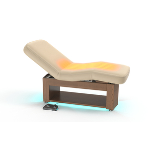 Camilla de masaje <span class=keywords><strong>Alexander</strong></span>-Basic con calefacción y luz LED opcional, base de madera, silla facial, para tatuajes, SPA, salón de belleza, mesa de tratamiento. - Product Image 5