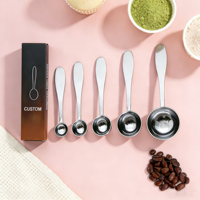 Cuillère doseuse en acier inoxydable 304 pour poudre de matcha, boîte personnalisée, cuillère à matcha en acier inoxydable