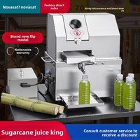 Mini presse à jus de canne à sucre en acier inoxydable, électrique, fonctionnant sur batterie, portable, pour la vente ambulante
