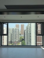 Fenêtres battantes Solink en alliage d'aluminium, double vitrage trempé/fumé, insonorisées, certifiées Energy Star, design moderne, pour appartement individuel