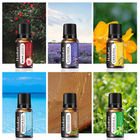 Diffuseur d'arômes à ultrasons avec prise USB, capacité de 10 ml, huile essentielle soluble dans l'eau, parfum, humidificateur, soin du visage