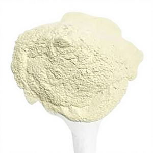 Poudre de Lactobacillus Rhamnosus - Product Image 2