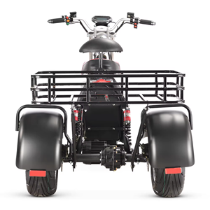 Meilleur prix, tricycle électrique à trois roues X10, GPS, pliable, étanche, batterie au lithium 2000w, pour les personnes âgées, loisirs, Citycoco - Product Image 4